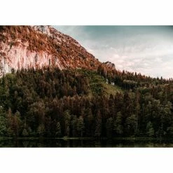 Vélo Rondo Ruut ST 1 (gravel, 2022) -Vélos enfr Rondo Ruut ST 1 Gravel Bike 2022 Adventure Bikes Green Black 2022 RB 462 3